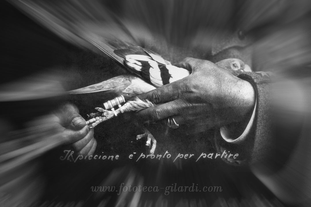 Fotografie di reportage, ufficiali o spontanee per la documentazione della storia e del costume ©Fototeca Gilardi